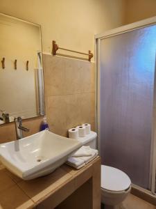 a bathroom with a sink and a toilet at Coral Island Suites Cozumel in Cozumel