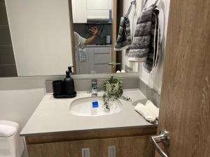 ボゴタにあるApartasuite Central y Moderno Teusaquillo Centro Internacionalの洗面台付きのバスルーム、写真撮影の方