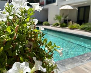 roślina z białymi kwiatami obok basenu w obiekcie Kallithea love paradise pool & garden w mieście Kallithea