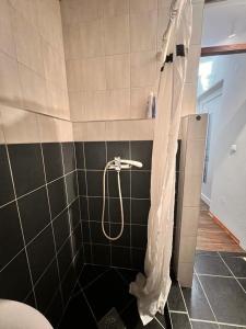 eine Dusche mit einem Schlauch im Bad in der Unterkunft Apartments with a parking space Sisak, Moslavina - 22670 in Sisak