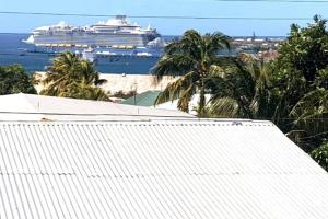um navio de cruzeiro no oceano com uma praia e palmeiras em The Residence - your home when not at home em Basseterre