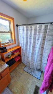 a bathroom with a shower curtain and a window at Fishing Cabin on White River w/ public boat ramp! in Norfork