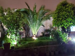 Fotografie z fotogalerie ubytování Hostal Juana de Arco v destinaci Quito