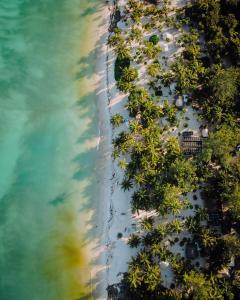 an aerial view of a beach with palm trees and the ocean at Hotel Cielo y Selva in Punta Allen