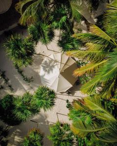an overhead view of a white umbrella in a garden at Hotel Cielo y Selva in Punta Allen