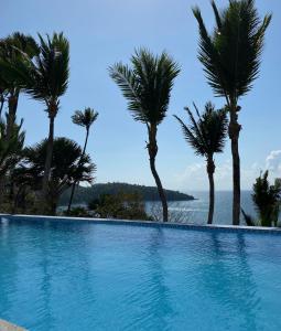 een zwembad met palmbomen en de oceaan bij Villa de Pico Highland Beach Resort in Puerto Galera