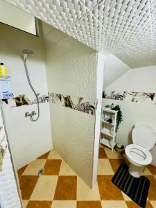a bathroom with a toilet and a checkerboard floor at Apartment with 2 bedrooms in Essaouira +21 photos
