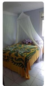 Schlafzimmer mit einem Bett mit Moskitonetz in der Unterkunft Sunset beach maupiti in Te-Fare-Arii