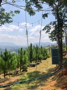 a swing in a plantation of trees at Doi Hoa Do Homestay in Bao Loc