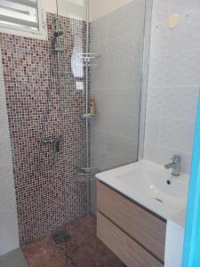 y baño con ducha y lavamanos. en ChezLou1, en Fort-de-France