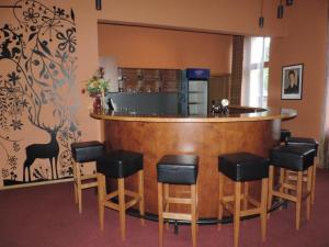 Lounge nebo bar v ubytování Hotel Hron
