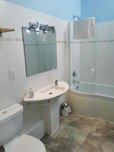 a bathroom with a toilet and a sink and a shower at The Brownlow Stables in Leighton Buzzard