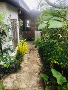 Φωτογραφία από το άλμπουμ του LAKE AND LAKE HOMESTAY σε Nuwara Eliya +14 φωτογραφίες