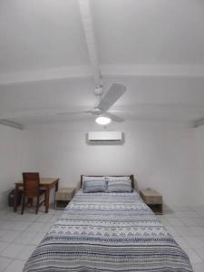 Harbour View House at Point Cruz, Honiara في هونيارا: غرفة نوم مع سرير ومروحة سقف