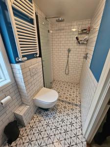 ein Bad mit einem WC und einer Dusche in der Unterkunft Sunny 2BR Apartment in Downtown Reykjavik in Reykjavík