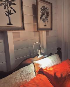 ein Schlafzimmer mit einem Bett und Bildern einer Palme in der Unterkunft Kazacérola in Fort-de-France