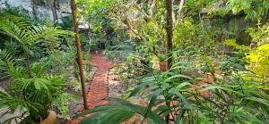 um caminho de tijolos vermelhos num jardim com plantas em No 21 em Colombo