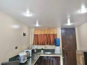 Kuchyň nebo kuchyňský kout v ubytování Pal-Watson Apartments