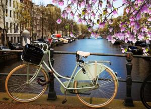una bicicleta estacionada junto a un canal con flores en Tulip House Luxury Apartment - Top Location - Rijksmuseum - Leidseplein AMSTERDAM Central 120 m2 ALL Private with kitchen, en Ámsterdam