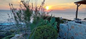 einen Sonnenuntergang über dem Meer mit einem Kaktus in der Unterkunft White Rock Cave Villa in Kampíon