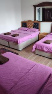 A bed or beds in a room at Emre's Stone House