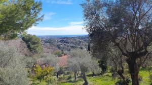 a house sitting on top of a hill with trees at ST FRANCOIS in Grasse