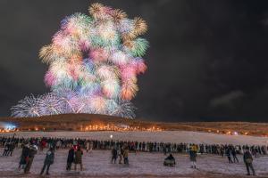 una multitud de personas de pie en frente de una torre de fuegos artificiales en Hotel Naranohamori en Nara