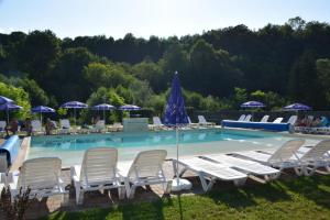 a swimming pool with lounge chairs and umbrellas at Domeniul Roa in Avrig
