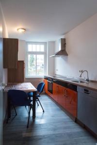 kuchnia ze stołem, krzesłami i zlewem w obiekcie Studiowohnungen Am Neuberinhaus F&G Apartments w mieście Reichenbach im Vogtland