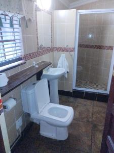 uma casa de banho com um WC, um lavatório e um chuveiro em Lapalosa Lodge em Centurion