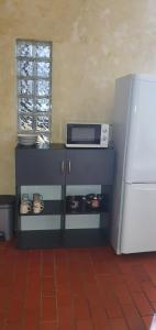 uma cozinha com um balcão, um micro-ondas e um frigorífico em Pokój typu studio dla pracownikow z kuchnią i łazienka em Tomaszów Mazowiecki