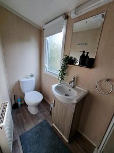 een badkamer met een wastafel, een toilet en een spiegel bij Ruim Chalet, midden in het bos! in Nunspeet