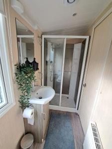 een badkamer met een witte wastafel en een douche bij Ruim Chalet, midden in het bos! in Nunspeet
