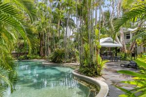 uma piscina num quintal com palmeiras em Tropic Retreat em Port Douglas