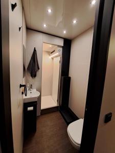 a small bathroom with a toilet and a sink at Hausboot Tegel in Zeuthen