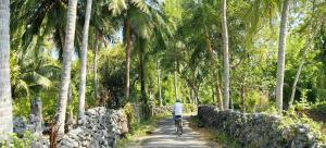 a person riding a bike down a dirt road with palm trees at Delft Village Stay in Delft East