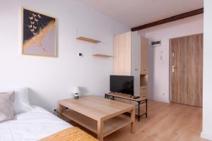 a bedroom with a bed and a desk with a television at Groszowa Comfort Studio in Jelenia Góra