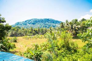 um campo com palmeiras e uma montanha ao fundo em Green View Lodge em Deniyaya