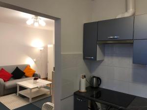 Η κουζίνα ή μικρή κουζίνα στο Wrzeszcz Studio Apartment