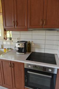 Kuchyň nebo kuchyňský kout v ubytování apartment irini