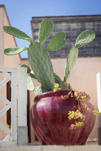 Fotografie z fotogalerie ubytování B&B Corte Dei Taralli v destinaci Lecce
