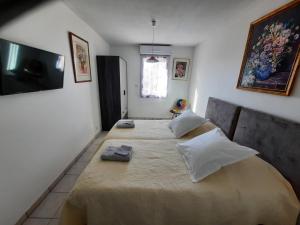 1 dormitorio con 1 cama con 2 almohadas en Les Romarins, appartement impeccable et son parking privé, en Nyons