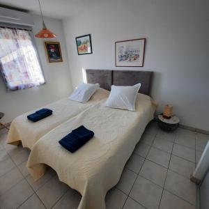 1 dormitorio con 2 camas con almohadas azules en Les Romarins, appartement impeccable et son parking privé, en Nyons