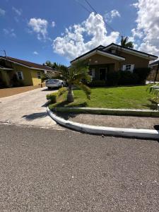 a house with a palm tree in a driveway at Villa Oasis Drax Hall in Ocho Rios