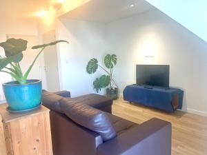 Et tv og/eller underholdning på Les Sept Îles