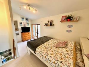 1 dormitorio con 1 cama y TV en Le Clocher de Leonie by LPNL en Renage