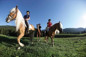 un grupo de personas montando caballos en un campo en Hotel Waldruhe, en Santa Maddalena in Casies