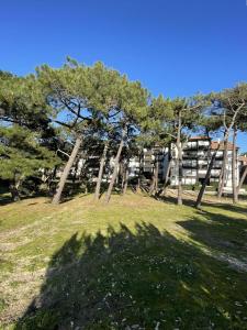 Fotografie z fotogalerie ubytování Ref 550 Seignosse Océan, joli Studio rénové de 21m pour 2 personnes proche plage et centre v destinaci Seignosse
