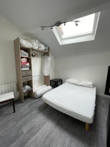 ein Schlafzimmer mit einem Bett und einem Dachfenster in der Unterkunft Duplex 4 pièces, 3 chambres in Ivry-sur-Seine