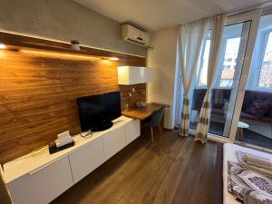 TV tai viihdekeskus majoituspaikassa Hedonic Studio